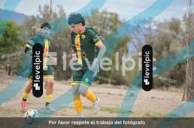 DSC_0462.jpg