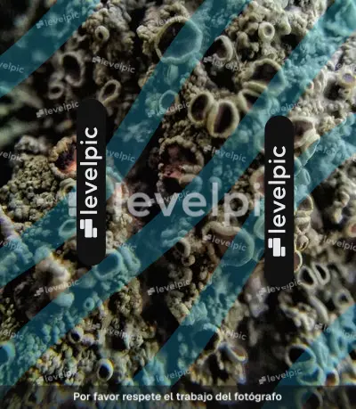 20260420_164526-01.jpeg