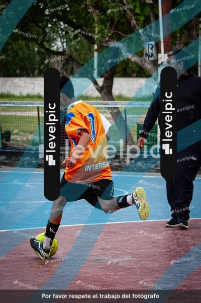 inbound4488509564290698381.jpg