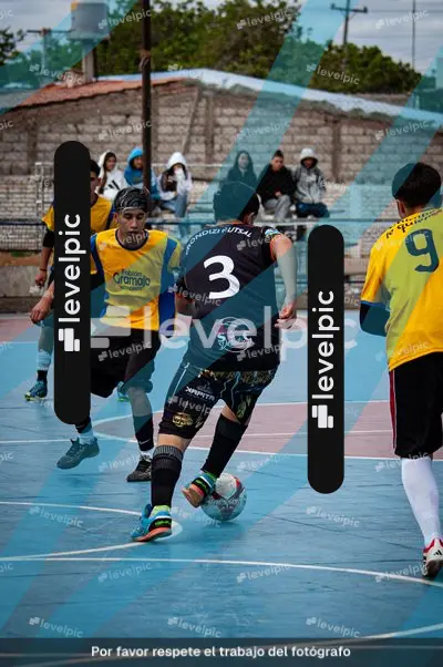 inbound5361352318651144115.jpg