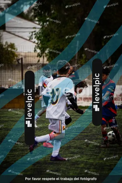 DSC08911.jpg