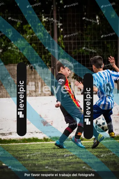 DSC09544.jpg