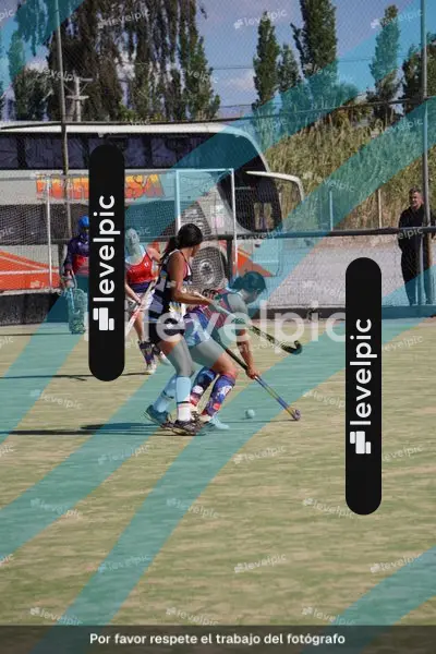DSC05337.JPG